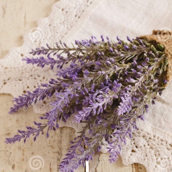 POSH AMBASSADOR - Picture 2 of 2